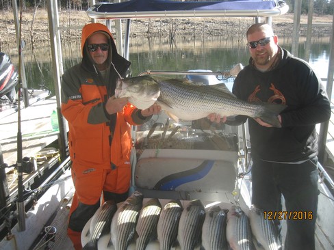 Nice Striped Bass